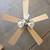Ceiling fan 1 thumbnail