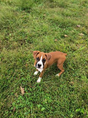 3 month old girls63881507816321121