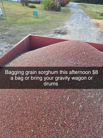 Grain sorghum, corn, soybeans 1