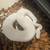 Vivarium subadult ball python rack and ball pythons 5 thumbnail