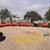 BRUSH GRAPPLE COMPACT TRACTOR SMALL SKID STEER 51 INCH WIDE 15 thumbnail