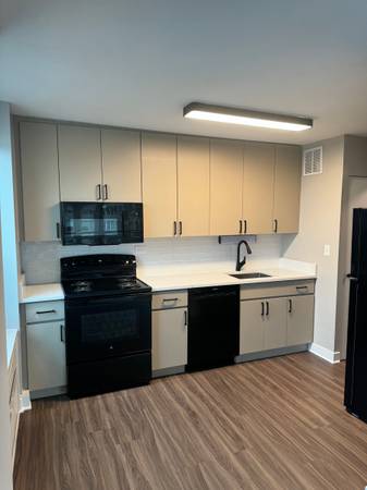 $2,150 / 1br - Beautiful 1 bed with washer/dryer, hw floors, and stainless (South Loop)63781279597827122