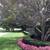 A PROFESSIONAL GARDENING LADY, Weeding,CleanUp, Flowers, Mulch, Trim, 13 thumbnail