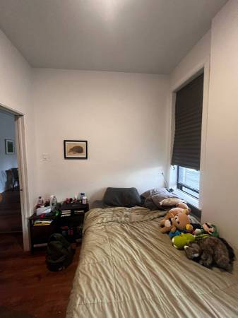 Bushwick Roommate needed