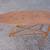 Antique Child toy  1930's wood ironing board 2 thumbnail