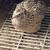 Quails for sale 1 thumbnail