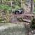2016 Polaris Sportsman 2 thumbnail