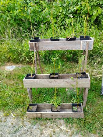 Raised planter - $1562934687516801121