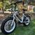 PEDEGO Element All-Terrain Fat-Tire Electric Bike ebike 7-Spd 500W V1 17 thumbnail