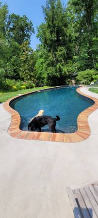 Laborer/ pool technician 1