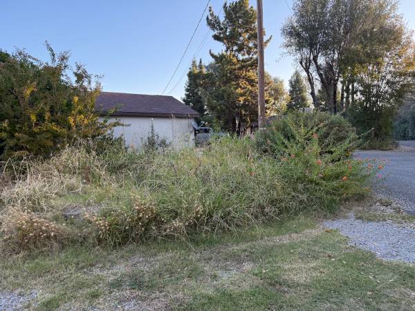 Landscape Maintenance/ Cleanups 1