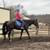 Retired Horses 3 thumbnail