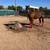 Mare 2 thumbnail