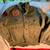 Vintage Boy Scout, Local Cashmere, WA 1960s Shirts Hat Canteen + More 2 thumbnail