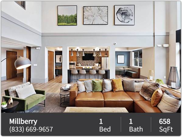 $1,429 / 1br - 658ft2 - Rent affordably in the best location! Just minutes from Campus (Saint Paul - Saint Anthony Park)64048420709505121