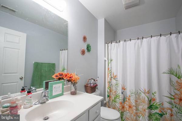 $1,300 / 1br - 840ft2 - cuenta con 1 dormitorio y 1 baño (Salisbury, MD)63806890373763122