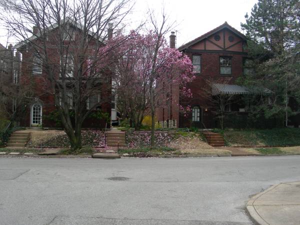 $900 / 1br - 900ft2 - Excelente HmShare/Mobiliado/no fumadores/mascotas prohibidas/Limpio/Tranquilo/Bien Mantenido/¡Ayuda de trueque! (MoBotGarden Dist, TowerGrove Park, cerca de BJC, SLU)63770209449473120