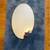 Oval Vanity Accent Wall Mirror 1 thumbnail