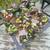 Plant / Yard Sale 6 thumbnail