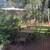 Room in santa cruz mountains 1 thumbnail