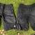 Cycling Chamois, Endura Hummvee Mountain Bike Shorts, S M L XL 2 thumbnail