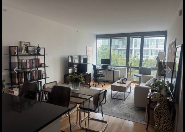 LIC waterfront apt available for rent! 1
