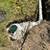 Swift Dry Construction - Water irrigation and foundation repair 2 thumbnail