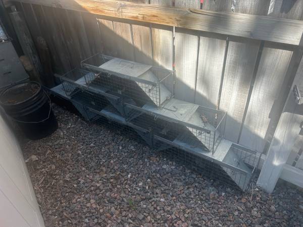 Catch and release live squirrel traps 1