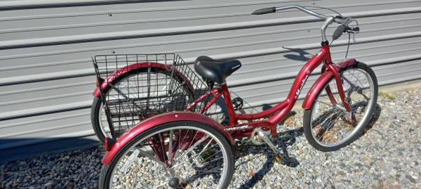wave electric bicycle E-Wave 1.0 Step-Thru (No Battery)