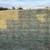 Square Bale Hay Singles & Bundles of 21 1 thumbnail