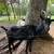 Dairy goat herd 8 thumbnail