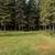 18.80 stunning acres near Wallace, Idaho! 7 thumbnail
