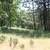 10.82 Acres in the Sierras - Seller Financing 13 thumbnail