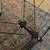 Rolf Prima Vigor RS 700c alloy clincher wheelset 10/11spd campy hub 4 thumbnail