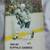 Buffalo Sabres Media Guides (14) Years 1971 to 1986 9 thumbnail