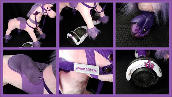 Power Pony Riding Toy - Princess Zume V2 1