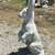 Wanted. Tall Jack Rabbit concrete garden statue 3 thumbnail