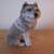 collect WOLVES?... figurines, posters, bric-a-brac collectibles, etc. 1 thumbnail