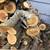 Lot of Apple Wood for Smoking (Unseasoned, Needs Splitting, Etc.) 3 thumbnail