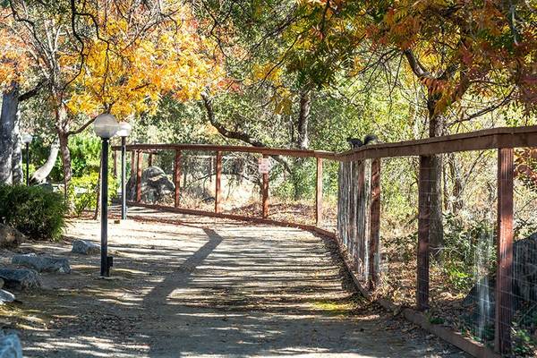$1,987 / 1br - 688ft2 - 1BD 1BA, Central Heat and Air, Rocklin CA (5800 Woodside Dr, Rocklin, CA)63961340369795121