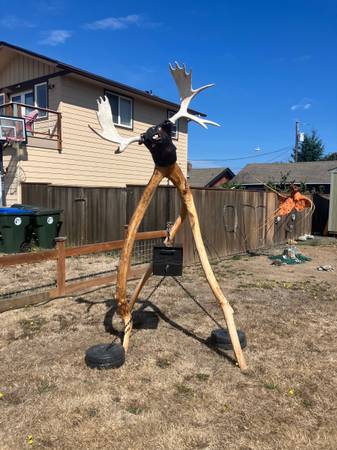 Mail moose 1