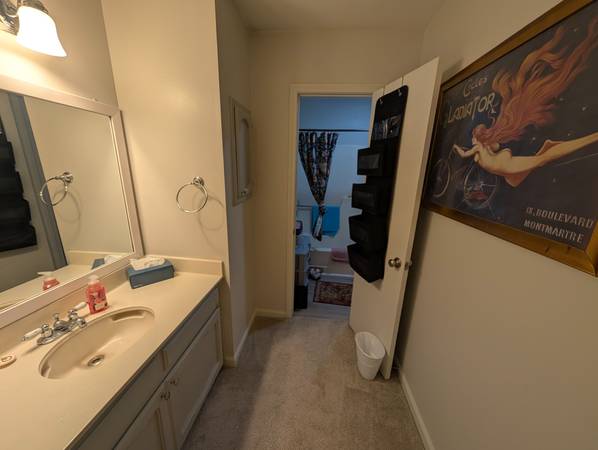 $650 / 2br - 1200ft2 - Private bedroom in 2 bd townhouse (Shenandoah)63902945204226122