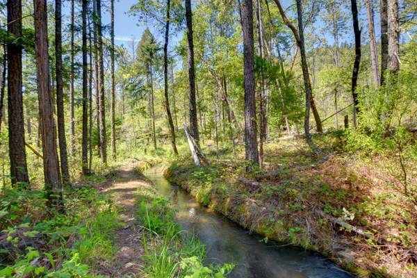 $210,000 Almost 80 Acres with Homesite Approval! (Prospect)64318774763779124