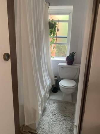 $80 / 1br - 1BR apartment in Greenpoint November 2nd - November 17th (Greenpoint)64146824363139121