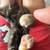 rehoming 2 kittens 6 thumbnail