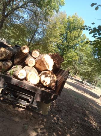 Home-Grown Tree Service 1