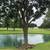 🌲 FRONT RANGE TREE & PROPERTY SERVICES 🌲 3 thumbnail