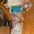 Bait Making Kit With Airbrush Tools, Paint and Decor 2 thumbnail
