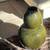 Ceramic Vase – Glossy Olive Green Finish 1 thumbnail