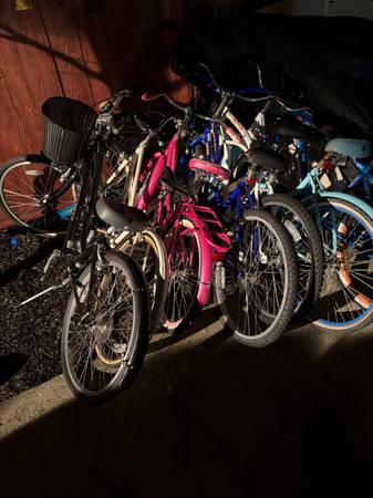 Beach Cruisers and Road Bike 1